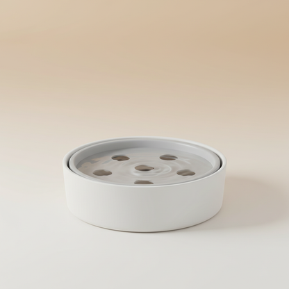 Dog water bowl product shot