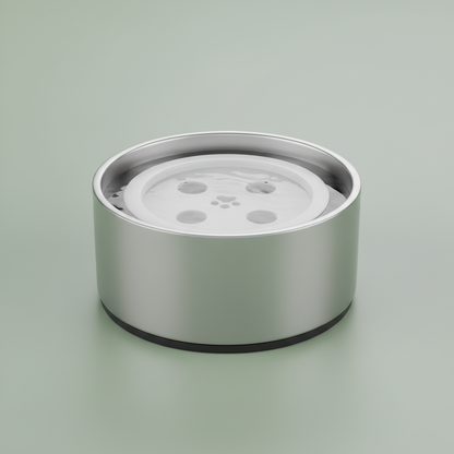 Dog water bowl sage green background